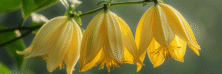 tussusurros.com